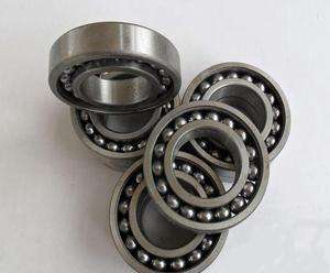 Fashion 306TN/C3 Bearing